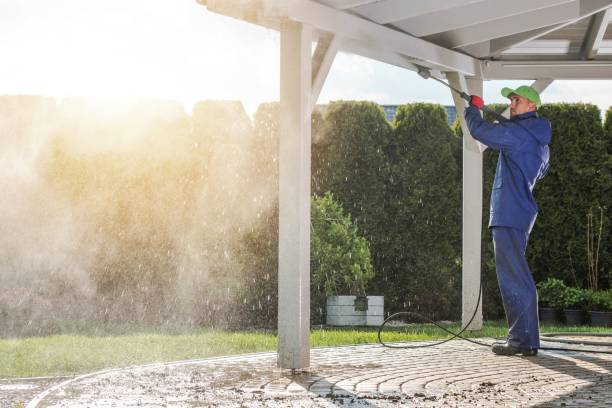 Best Spring Cleaning  in Erwin, TN