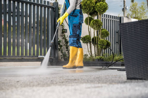 Best Roof Washing  in Erwin, TN